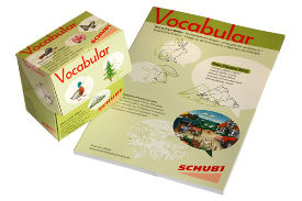 Illustrator_vocabular_schubi_brandtzeichen_schulbuch